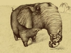 Słoń, Trąba, Małe, Zwierzątko