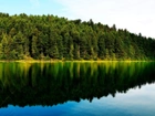 Jezioro, Lustrzane, Odbicie, Drzewa