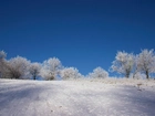 Zima, Pokrywa, Śnieżna