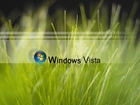 Logo, Windows, Vista, Zielona, Trawa