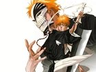 Bleach, Ichigo, Kurosaki