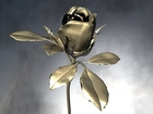 Złota, Róża, 3D