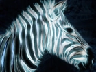 Zebra, 3D, Paski