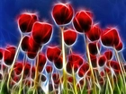 Czerwone, Tulipany, 3D
