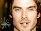 Ian Somerhalder, Pamiętniki, Wampirów