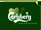 Piwo, Calsberg, Logo, Zielone, Tło