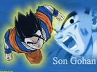 Son Gohan