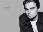 Leonardo DiCaprio,bródka