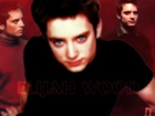 Elijah Wood,czarna koszulka, niebieskie oczy