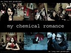 My Chemical Romance,kwiaty, gitara ,perkusja