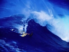 Windsurfing,surfer