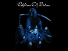 Children Of Bodom,zespół, kosa