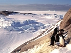 Śnieg, Pingwiny, Góry