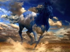Koń, Kolory, Chmur