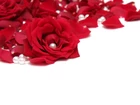 Czerwone, Róże, Perły