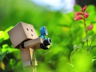 Danbo, Fotograf