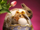 Wielkanoc, Zajączki, Jajka, Koszyk