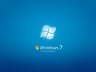 Windows 7, Professional