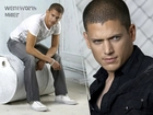 Aktor, Wentworth Miller