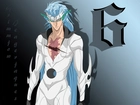 Grimmjow, Espada, Numer 6