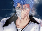 Grimmjow, Arrancar, Numer 6