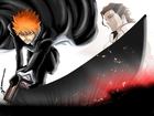 Aizen, Ichigo, Bankai