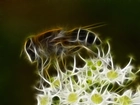 Pszczoła, Kwiatki, Grafika