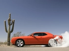 Dodge Challenger, Kaktus, Kłęby, Dymu
