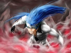 Grimmjow