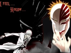 Ichigo Kurosaki, Bleach