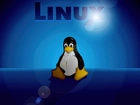 Linux, Pingwin, Niebieskie, Tło