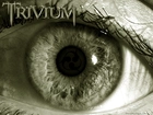 Trivium,oko