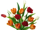 Bukiet, Kolorowych, Tulipanów, Róż