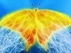 Motyl, 3D