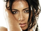 Nicole Scherzinger, Piosenkarka