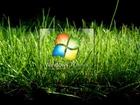 Windows 7, Trawa, Logo