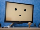 Danbo, Telewizor