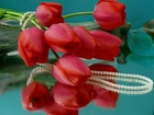 Czerwone, Tulipany, Perły