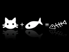 Kot, Ryba, Równanie