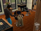 The Sims 2, Open Business