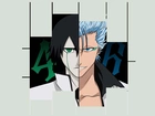 Ulquiorra, Grimmjow