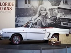 Brigitte Bardot, Auto