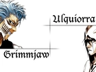 Arrancar, Grimmjow, Ulquiorra