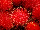 Rambutan