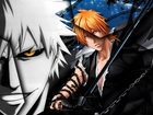 Kurosaki, Hollow