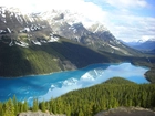 Kanada, Park Narodowy Banff, Góry Canadian Rockies, Jezioro Peyto Lake, Lasy