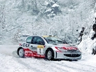 Rajdowy, Peugeot 206