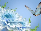 Kwiaty, Niebieski, Motyl