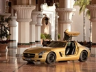 Złoty, Mercedes SLR