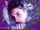 Elijah Wood,niebieskie oczy